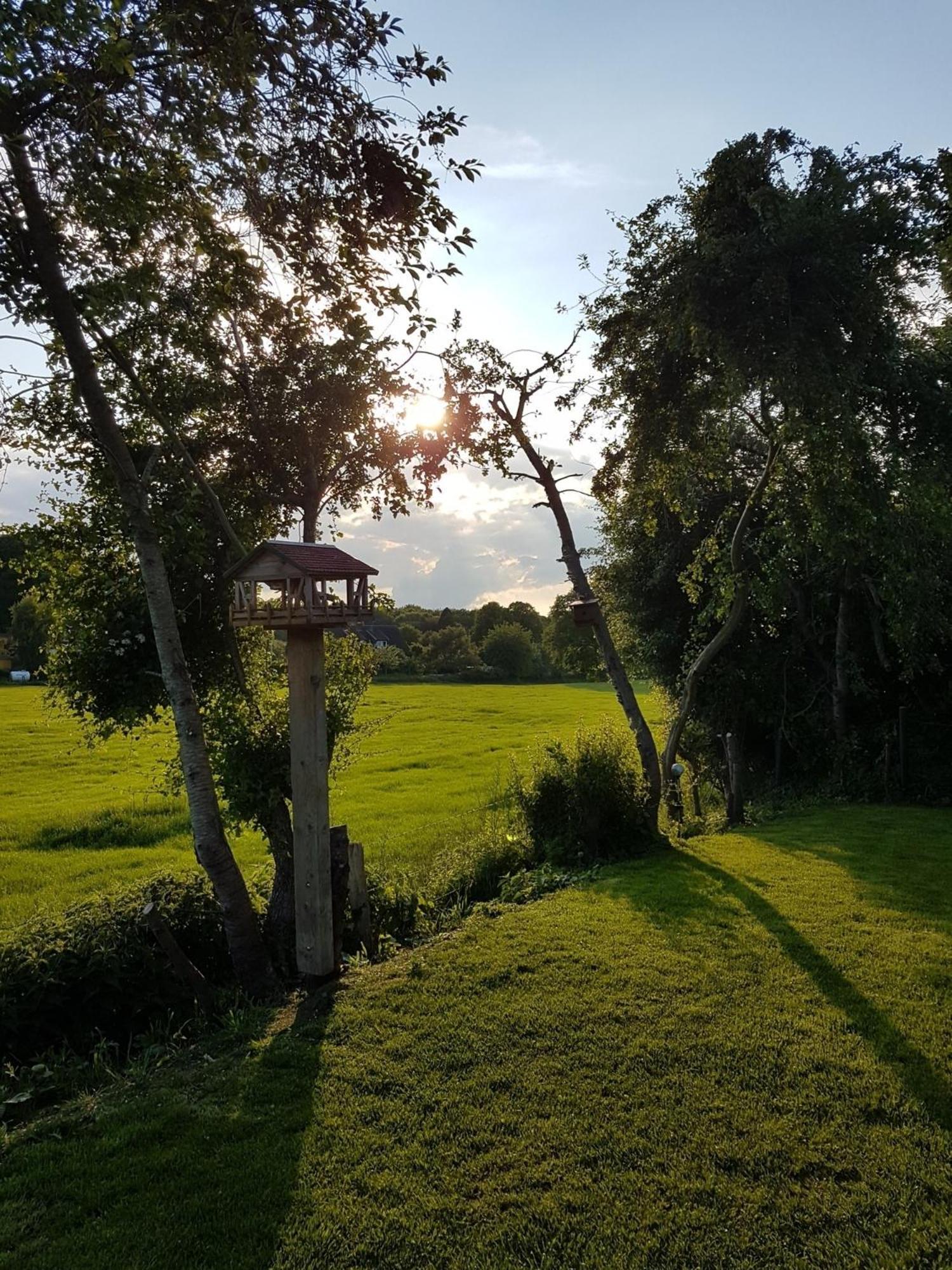 Seeblick- Noer Kültér fotó